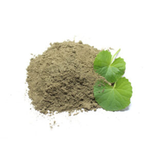 Brahmi Powder Organic Ayurveda