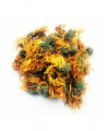 Loose Leaf Calendula hole flower dried organic