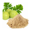 Organic Amla Powder Ayurveda Ireland